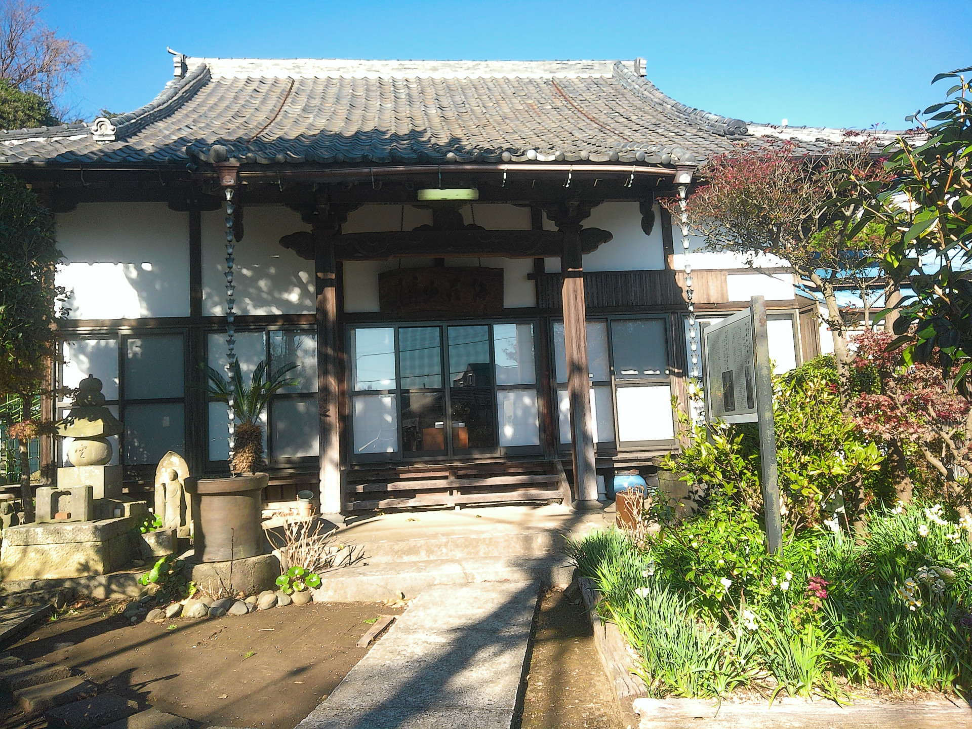 蒲ザクラと源範頼  海蔵山太寧寺【花のコラム】